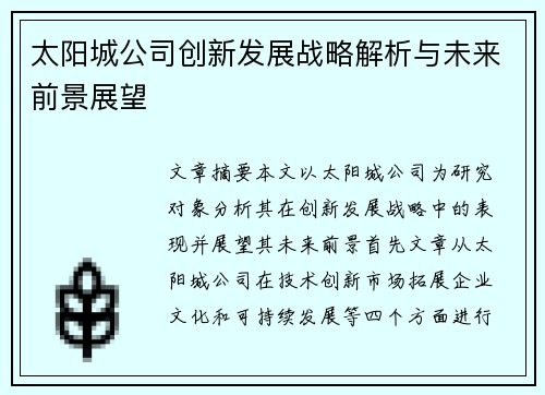 太阳城公司创新发展战略解析与未来前景展望
